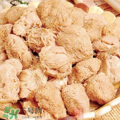 猴頭菇怎樣吃治胃?。亢镱^菇能治胃病嗎？