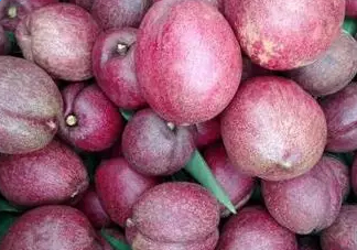 黑桃是什么水果？吃黑桃有什么好處？