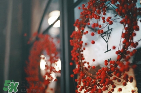 pree冰淇淋多少錢？pree冰淇淋好吃嗎？