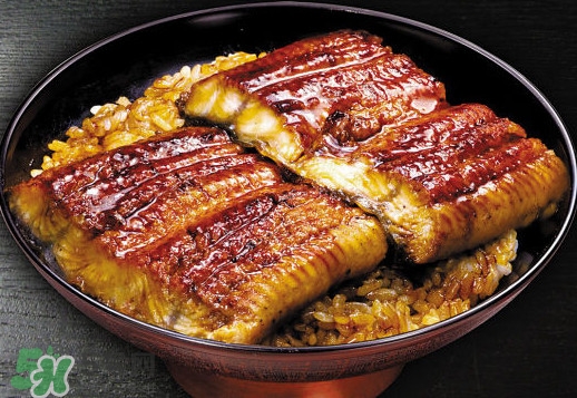 鰻魚(yú)飯熱量高嗎？鰻魚(yú)飯的熱量有多高