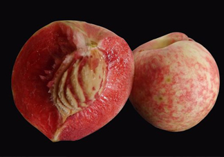 中華血桃什么時(shí)候成熟？中華血桃產(chǎn)地在哪兒