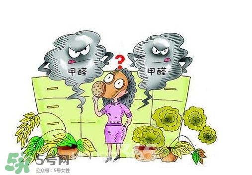 甲醛怎么治理？除甲醛最有效方法