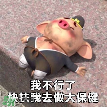 豬小屁表情包是什么？豬小屁表情包為什么這么火？