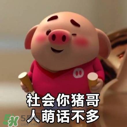 豬小屁表情包是什么？豬小屁表情包為什么這么火？