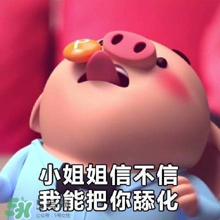 豬小屁表情包是什么？豬小屁表情包為什么這么火？