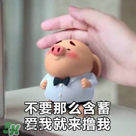 豬小屁表情包是什么？豬小屁表情包為什么這么火？