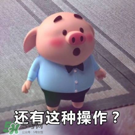豬小屁表情包是什么？豬小屁表情包為什么這么火？