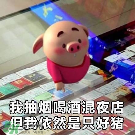 豬小屁表情包是什么？豬小屁表情包為什么這么火？