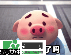 豬小屁多少錢一個？豬小屁哪里可以買到