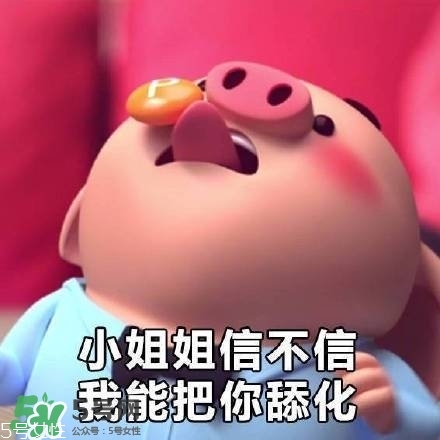 豬小屁多少錢一個？豬小屁哪里可以買到