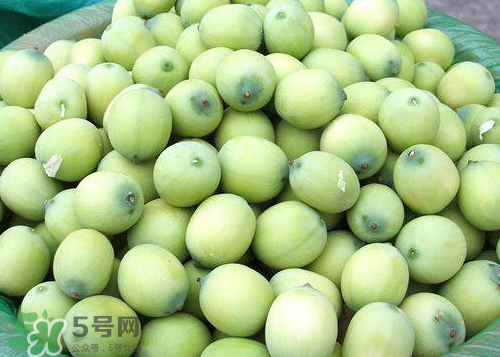 蓮蓬可以泡水喝嗎？蓮蓬泡水的功效與作用