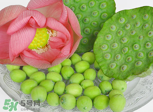 蓮蓬是水果嗎？蓮蓬是水果還是蔬菜？