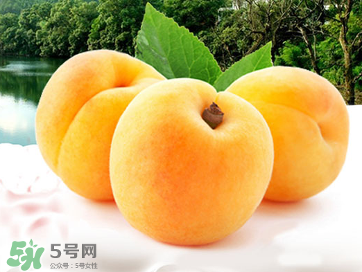 黃桃是酸性還是堿性？黃桃罐頭是酸性還是堿性？