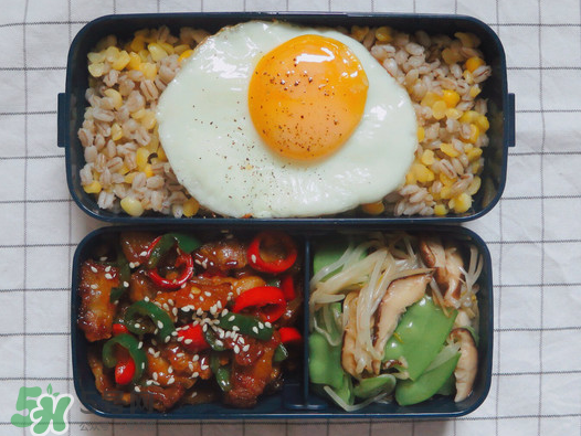 夏天用保溫盒帶飯會壞嗎？夏天能用保溫盒帶飯嗎？