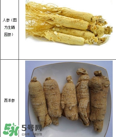 西洋參怎么吃效果最好？西洋參與人參的區(qū)別