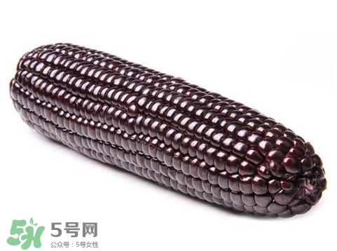 紫玉米會掉色嗎？紫玉米怎么會掉色？