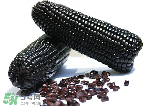 紫玉米會掉色嗎？紫玉米怎么會掉色？