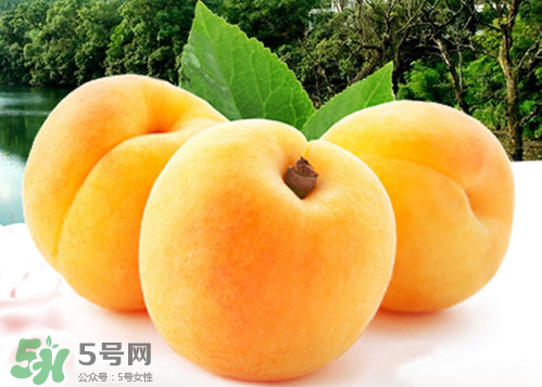 黃桃和水蜜桃哪個(gè)好吃？黃桃和水蜜桃的區(qū)別