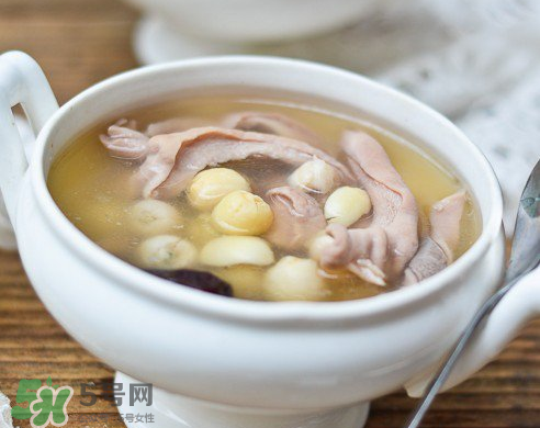 新鮮蓮子可以燉湯嗎？新鮮蓮子怎么煲湯？