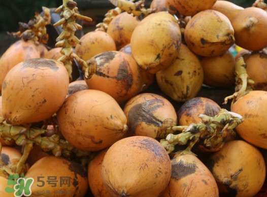 椰子什么時候成熟？椰子什么時候吃最好