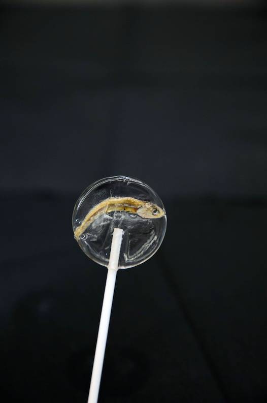 initial心軟冰淇淋雪糕多少錢？initial心軟冰淇淋好吃嗎？