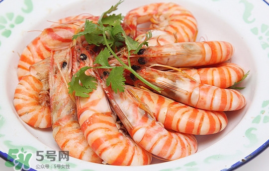 活的斑節(jié)蝦多少錢一斤？野生斑節(jié)蝦多少錢一斤