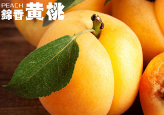 黃桃和香蕉能一起吃嗎？ 香蕉可以和黃桃一起吃嗎？