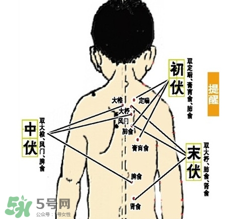 三九灸和三伏灸有什么區(qū)別？做完三伏灸要注意什么？