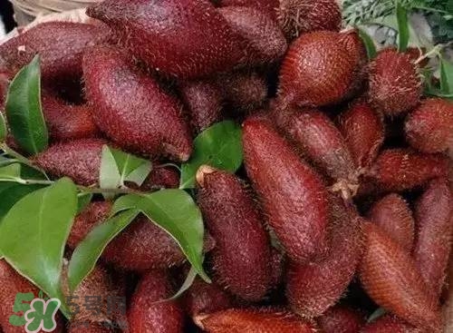 蛇皮果好吃嗎？蛇皮果多少錢一斤？