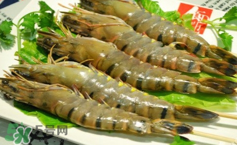 斑節(jié)蝦是九節(jié)蝦嗎？斑節(jié)蝦和九節(jié)蝦的區(qū)別