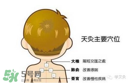 三伏灸灸哪里？三伏灸是每天都灸嗎