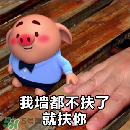 豬小屁表情包是什么？豬小屁表情包為什么這么火？