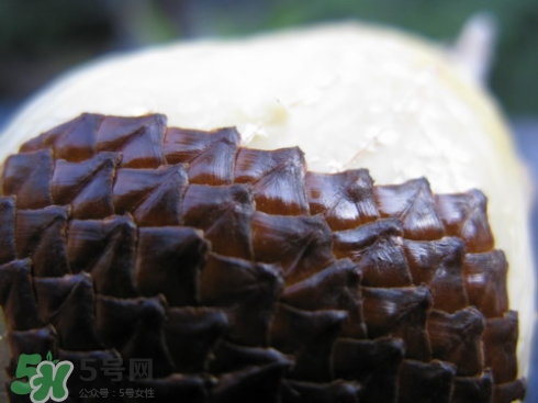 蛇皮果能生吃嗎？蛇皮果能放冰箱嗎？