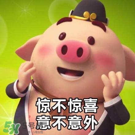 豬小屁表情包是什么？豬小屁表情包為什么這么火？