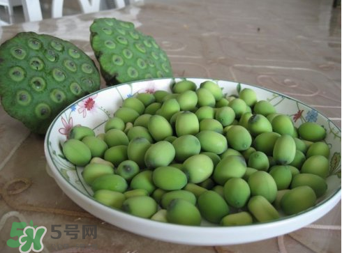 新鮮蓮子多少錢(qián)一斤？新鮮蓮子哪里有賣？