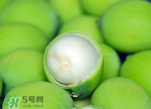 新鮮蓮子多少錢(qián)一斤？新鮮蓮子哪里有賣？