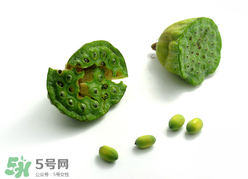 新鮮蓮子可以直接吃嗎？生蓮子可以直接吃嗎？