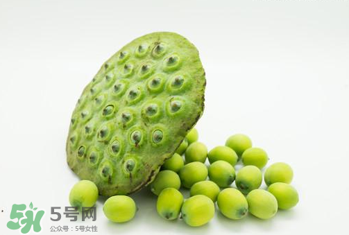 新鮮蓮子可以直接吃嗎？生蓮子可以直接吃嗎？