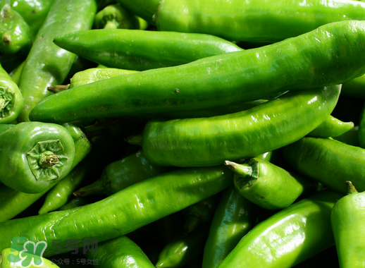 7月份可以種辣椒嗎？7月播辣椒種多長時間能栽？