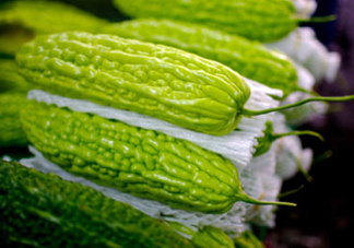 苦瓜多少錢一斤？苦瓜多少錢一斤2017？