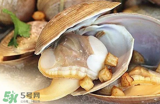 蜆子是蛤蜊嗎？蜆子和文蛤怎樣區(qū)別