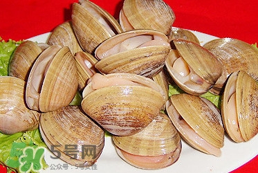 蜆子是蛤蜊嗎？蜆子和文蛤怎樣區(qū)別