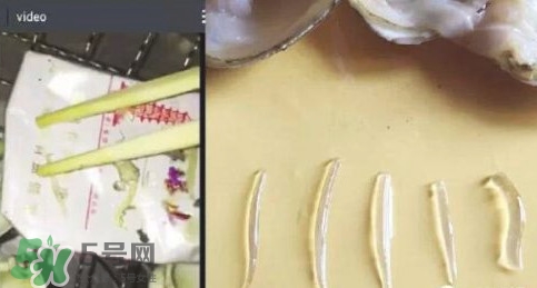 蜆子肉里白色長條東西是什么？蜆子肉里面透明的能吃嗎