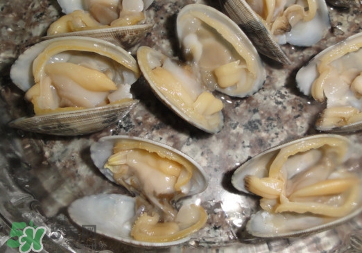 蜆子死了還能吃嗎？蜆子死了多久不能吃