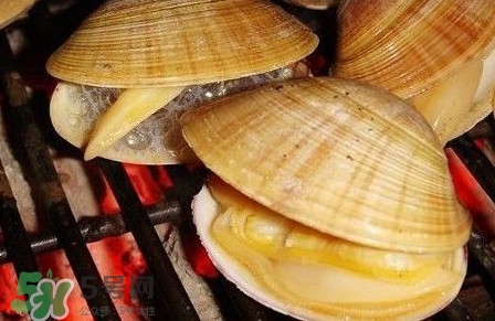 黃蜆子多少錢一斤？河蜆子多少錢一斤