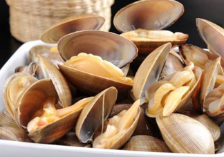 黃蜆子多少錢一斤？河蜆子多少錢一斤