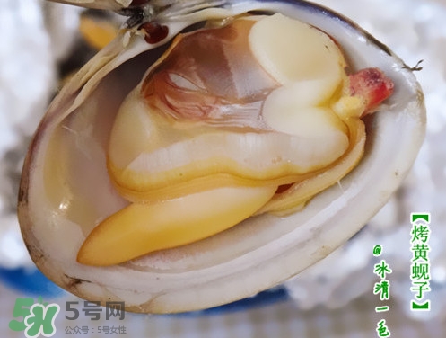 蜆子什么樣的是活的？蜆子開(kāi)口是死還是活