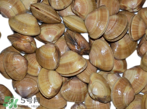 蜆子是花甲嗎？蜆子是海鮮嗎？