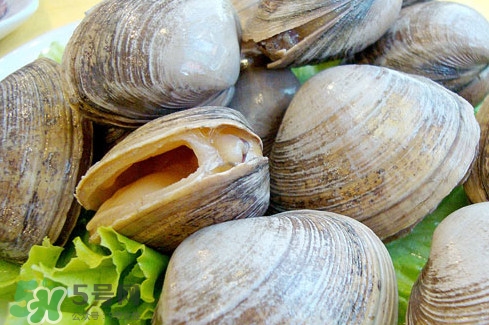 蜆子肉里白色長條東西是什么？蜆子肉里面透明的能吃嗎