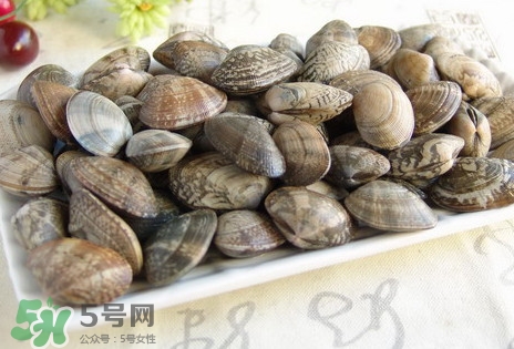 黃蜆子和花蜆子哪個好？黃蜆子和花蜆子的區(qū)別